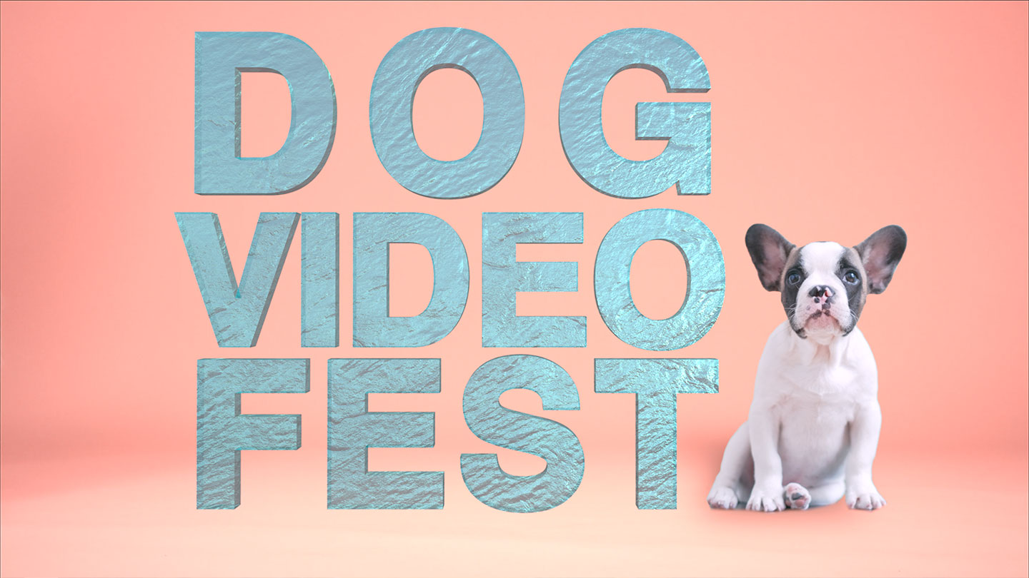 Dog Video Fest - Cincinnati World Cinema at the Garfield Theatre