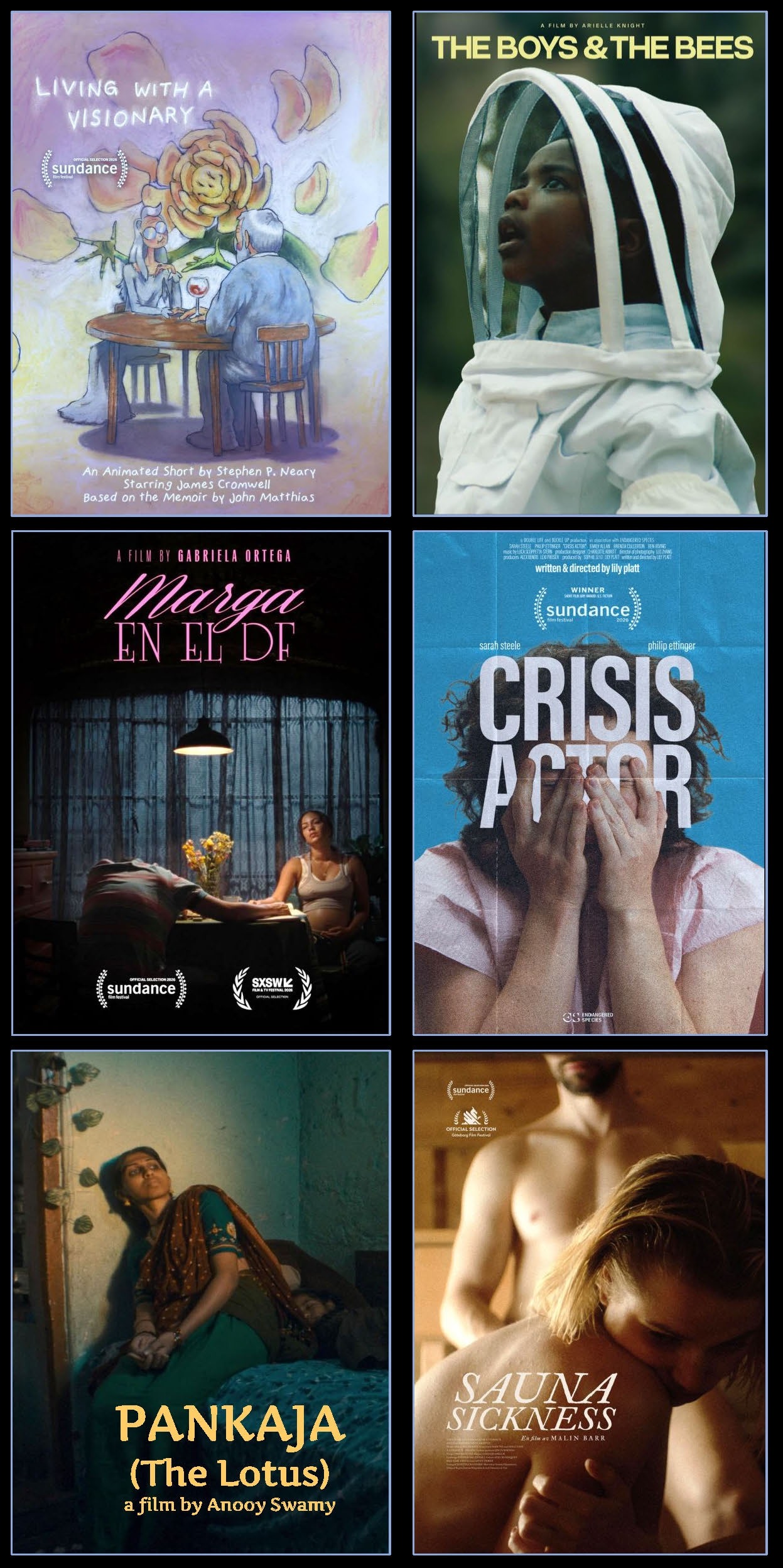 Sundance Shorts Films